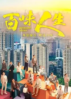 热播电视剧全集《雾港》高清在线观看